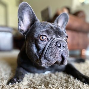 Meet your Posher, Zach